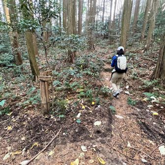 喋りすぎて分岐見過ごす🤭