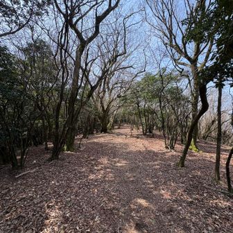 天気はサイコー☀️