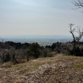 抜群の展望です。鳥栖市と奥には耳納連山。
ただ最近は霞が酷く晴れていても
遠望が利きません。