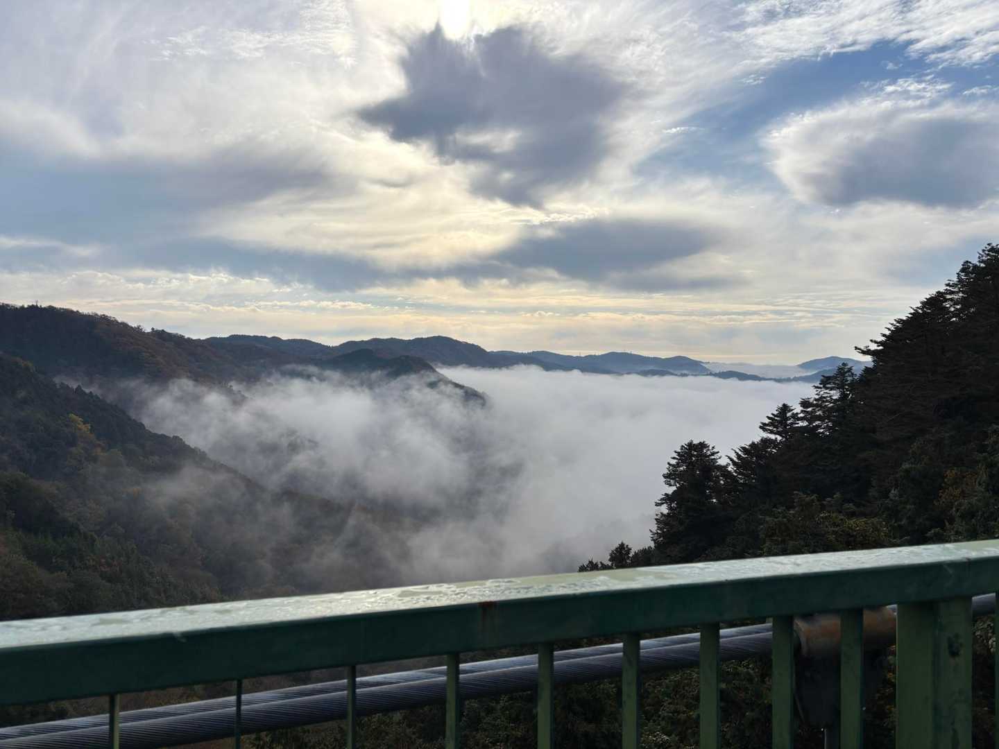 雲海少し見れた