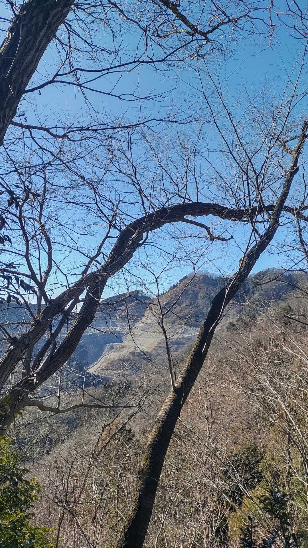 武甲山みたいに砕石場があるよ🙆