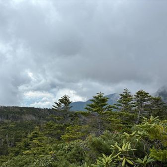 そこそこの景色