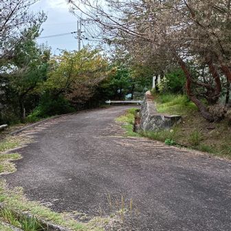 アンテナ設備のメンテナンス道路ですね