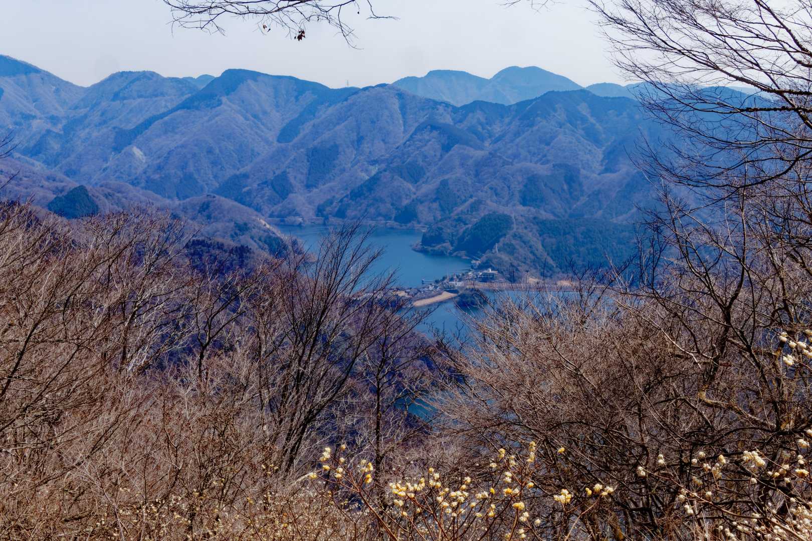 ミツバ岳登山口-大出山 往復コースの写真
