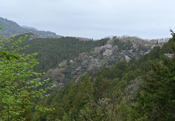 草戸山（東京・神奈川・364m）| 登山ルート・天気 | YAMAP / ヤマップ