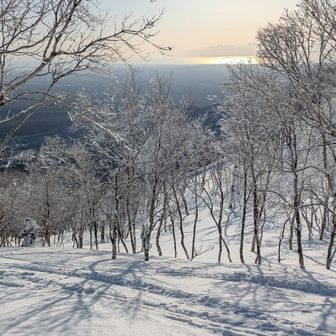 この林道上中盤は急で抜けてた