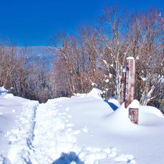 ここまでのつもりが・・・もう少し先まで