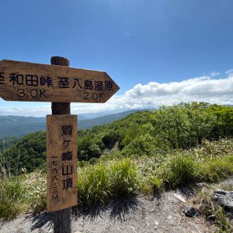 到着