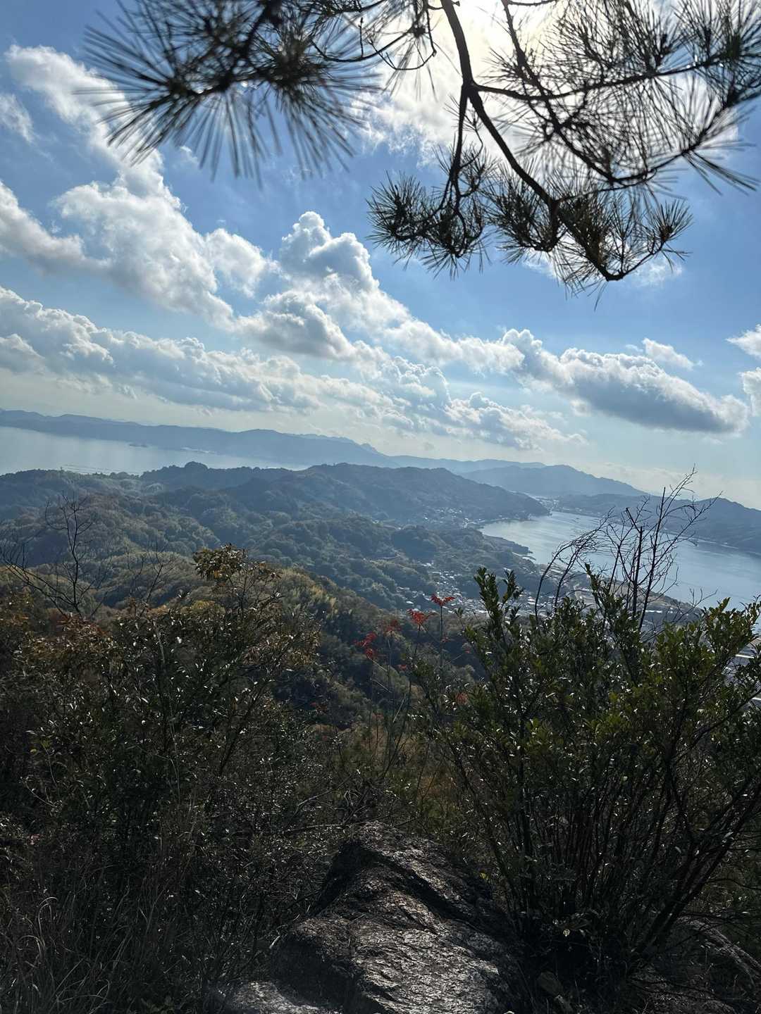 奥小路登山口-古鷹山-クマン岳 往復コースの写真