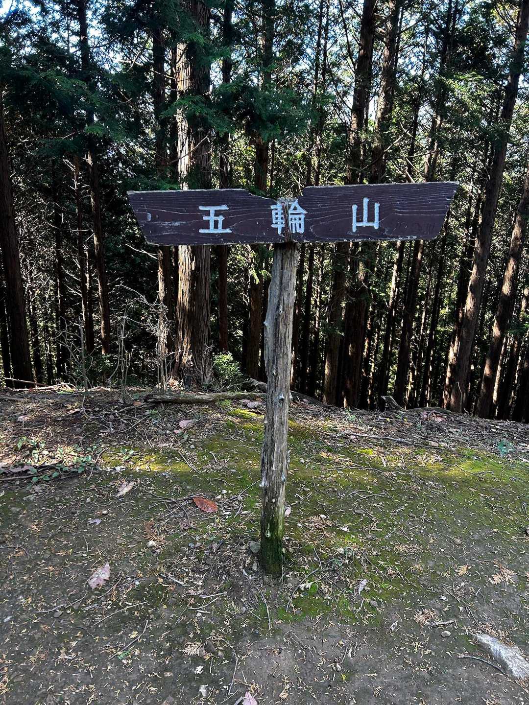 正丸駅発着｜五輪山・伊豆ヶ岳・大蔵山周回コースの写真