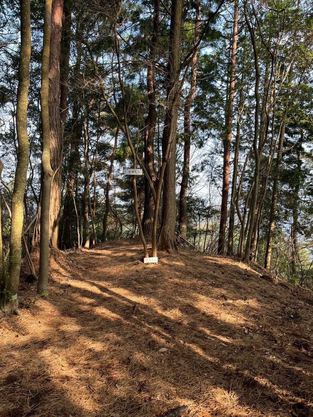 奥槇尾山山頂