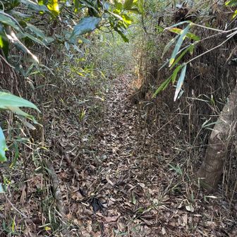 道はつづいていた。