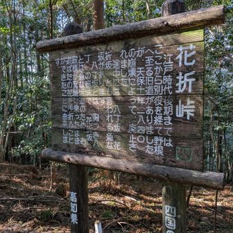 こんな山道で駕籠担がされるの嫌すぎる