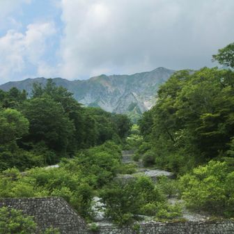 あらためて見上げる
三ノ沢からの南壁
