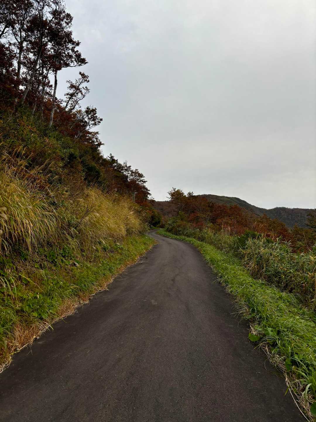 舗装路も歩きながら。
今日はこんな道多め、登山？より山ウォーキングだな。