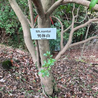 男体山