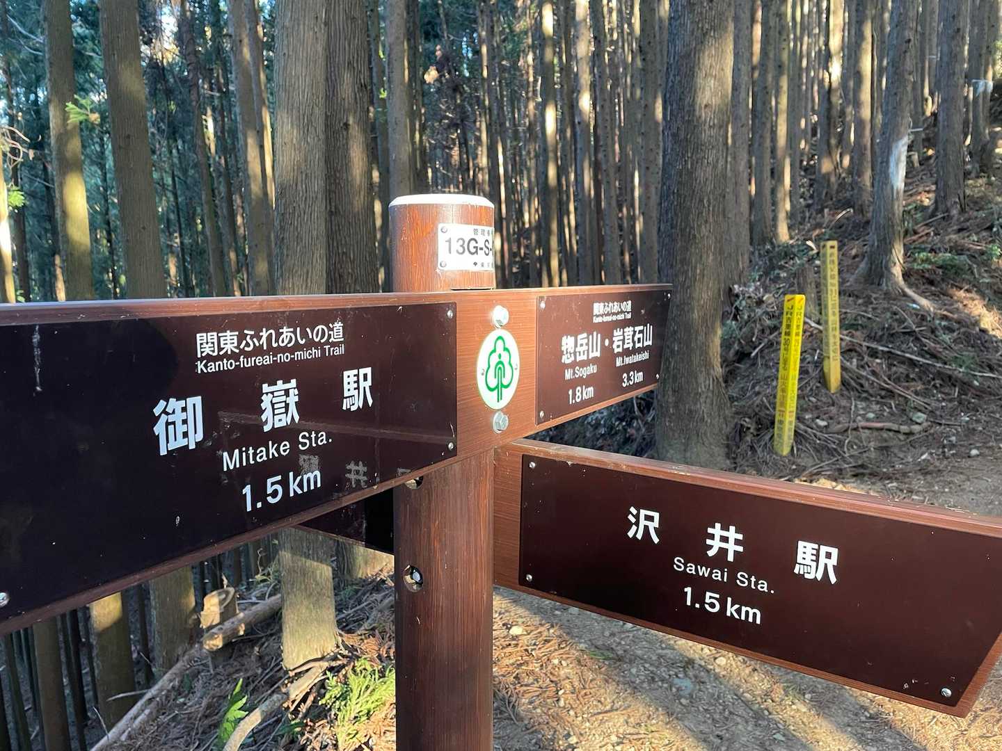 御岳渓谷入口-惣岳山・岩茸石山登山口-惣岳山 往復コースの写真