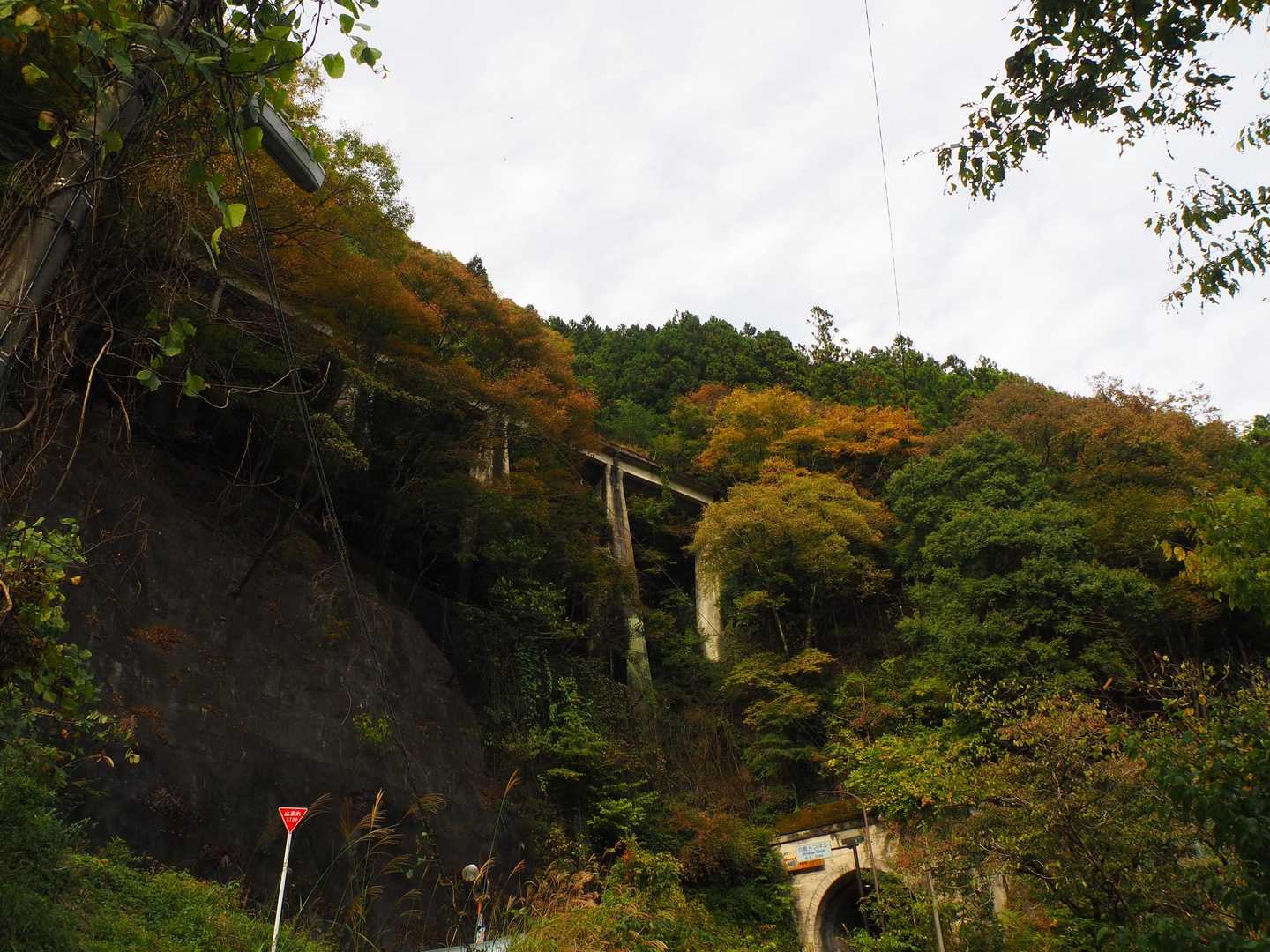 見上げればトロッコの線路(⁠・⁠∀⁠・⁠)
