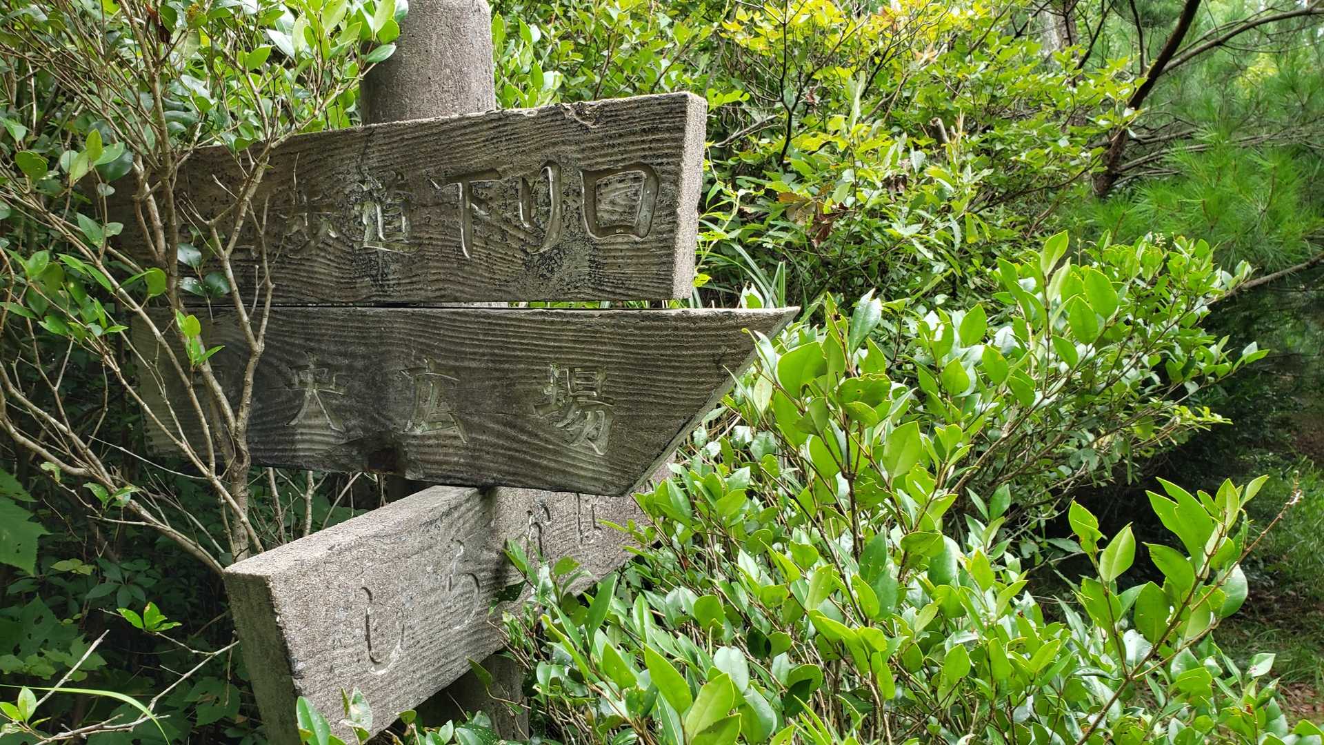 ここは右手側へ…