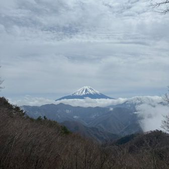 蛭ヶ岳からの富士山どーん