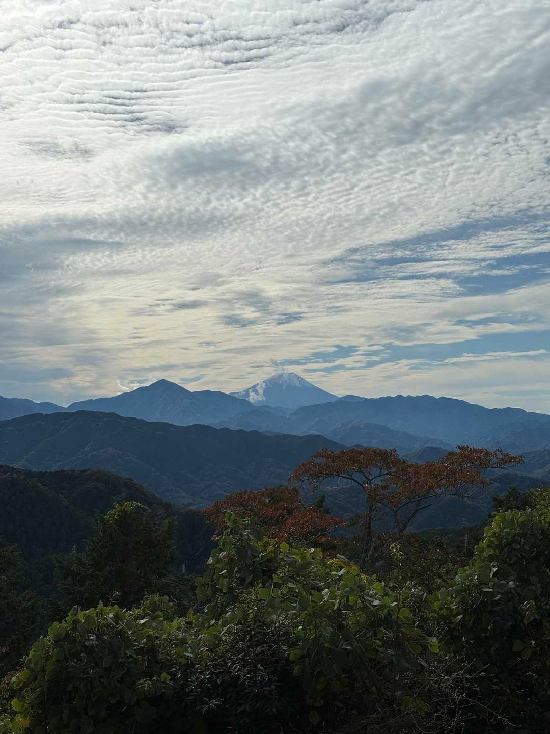 富士山🗻見えます