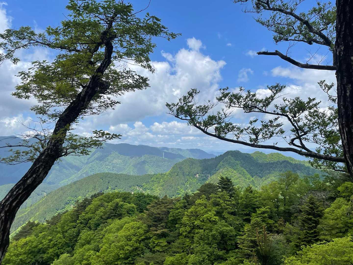三峰山(大山三峰山) / ユリックスターの登山データ | YAMAP / ヤマップ