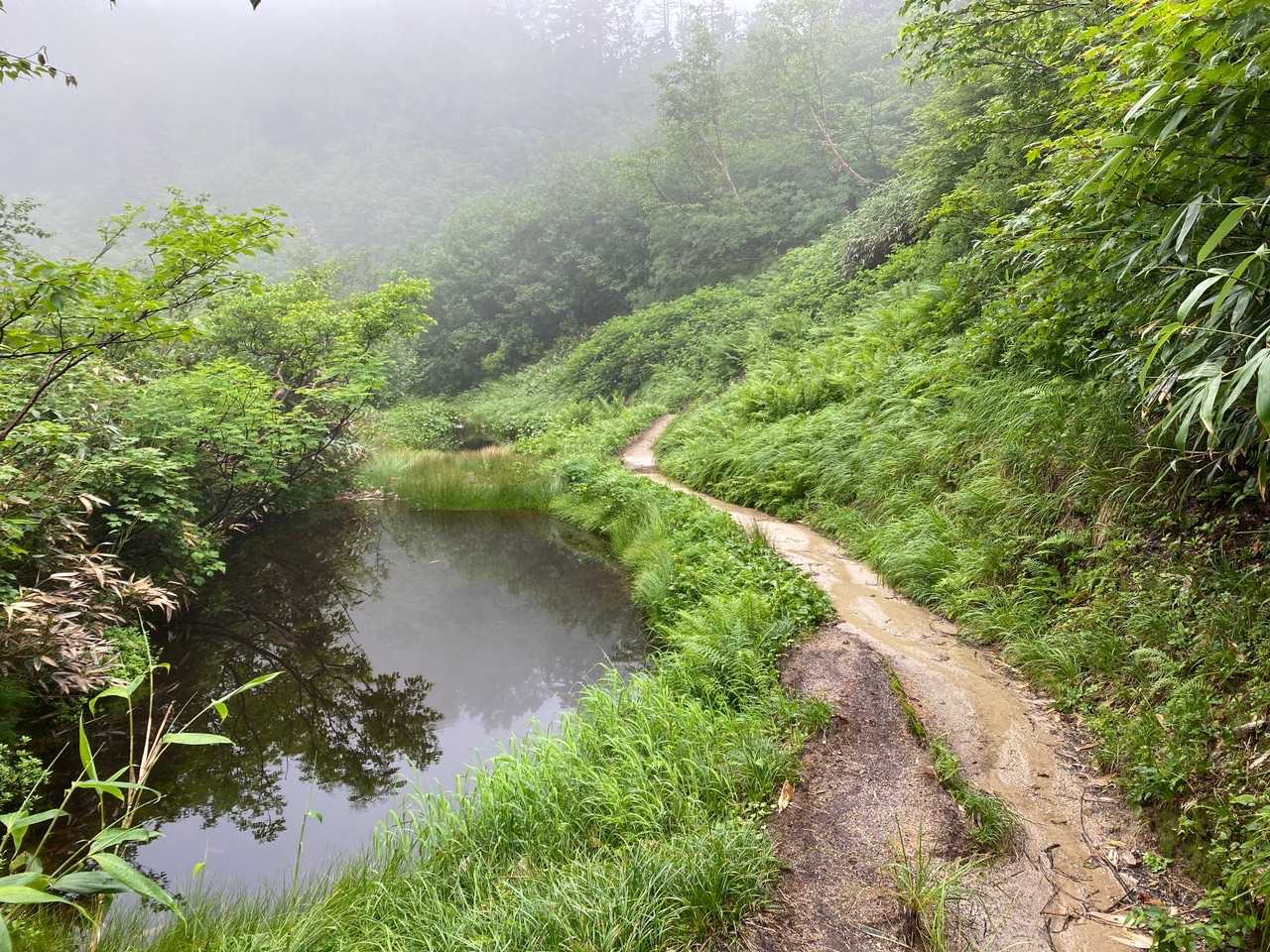 池がある