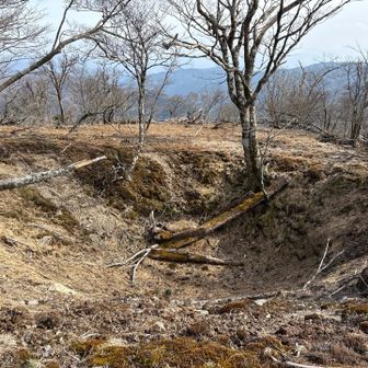 戦時中 爆弾でも落としたんですかね？ 三カ所 穴 あいてます