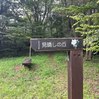見晴しの丘、眺望は樹木に遮られてしまっているため、よろしくない。