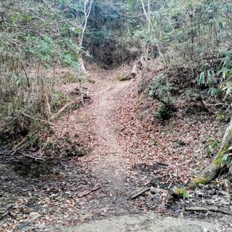 早刈山登り口から渡渉して星田新池方面へ向かう