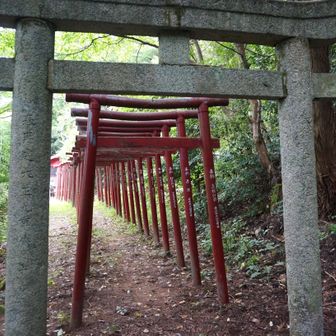 今回、ここの稲荷神社は素通り