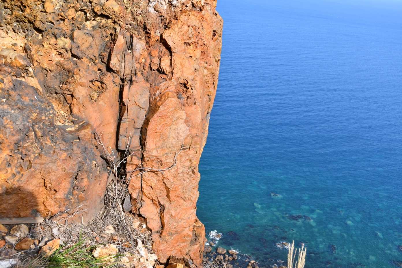 ロッククライミング🧗‍♀️で登る方がいるんだなぁ、、、✨岩に所々カラビナを付ける物が打ち付けられていました。