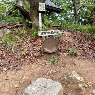 最近山登るのしんどいな...