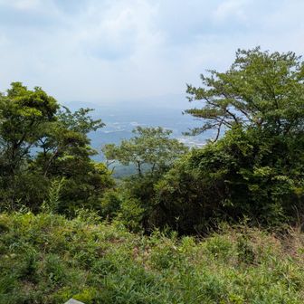 途中〜観た景色❢
