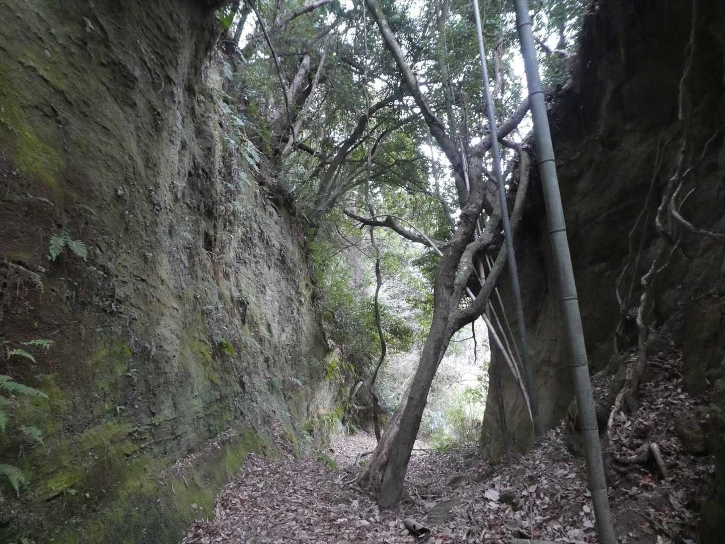 大阪の切堀