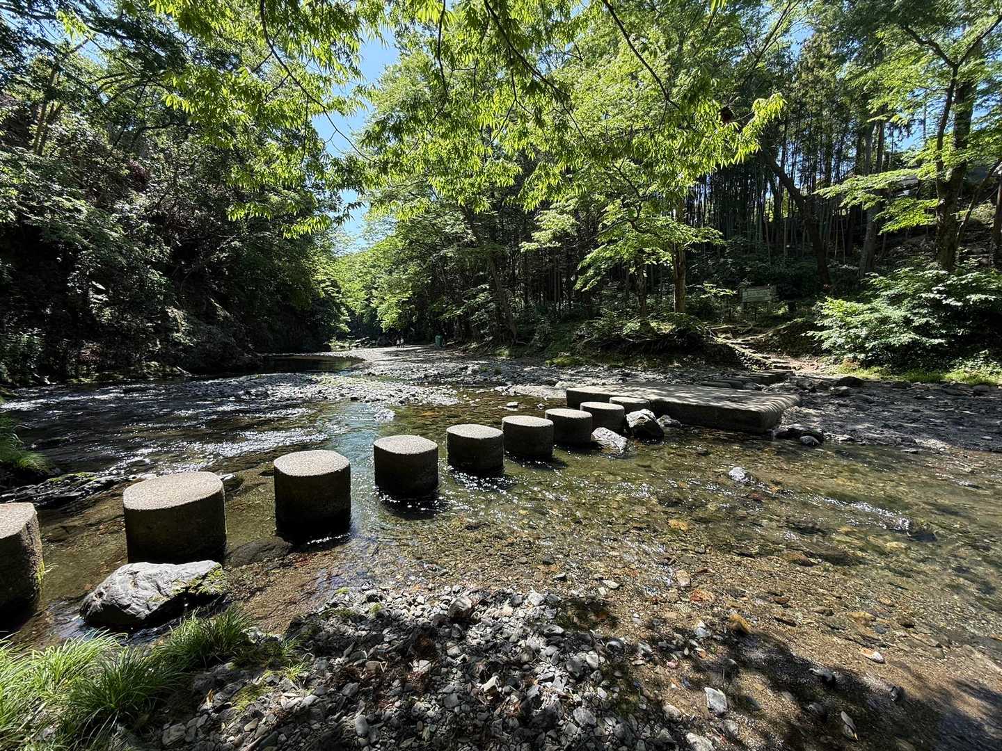 ドレミファ橋
涼しくて気持ちがよかったー