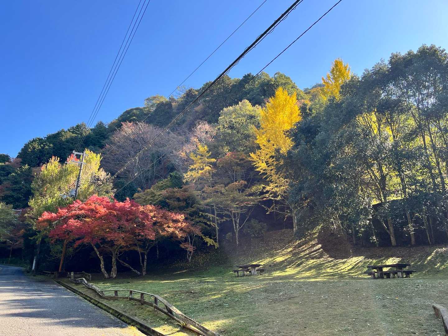 施福寺-槇尾山バス停 周回コースの写真