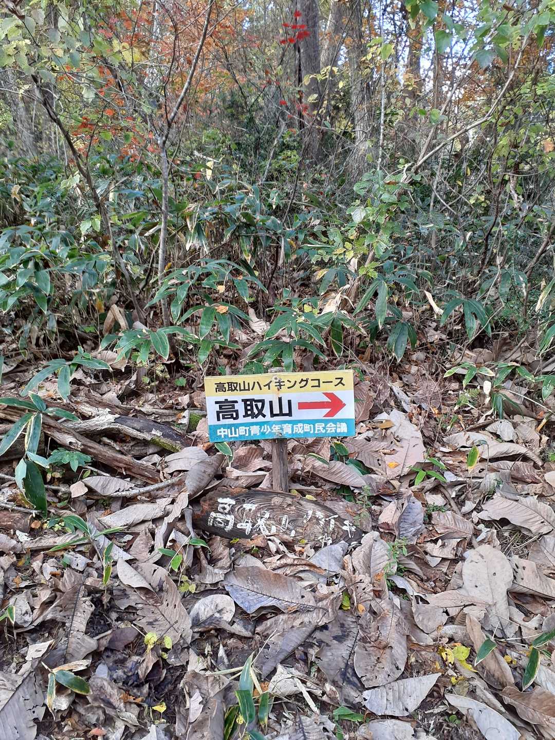 高取山 往復コースの写真