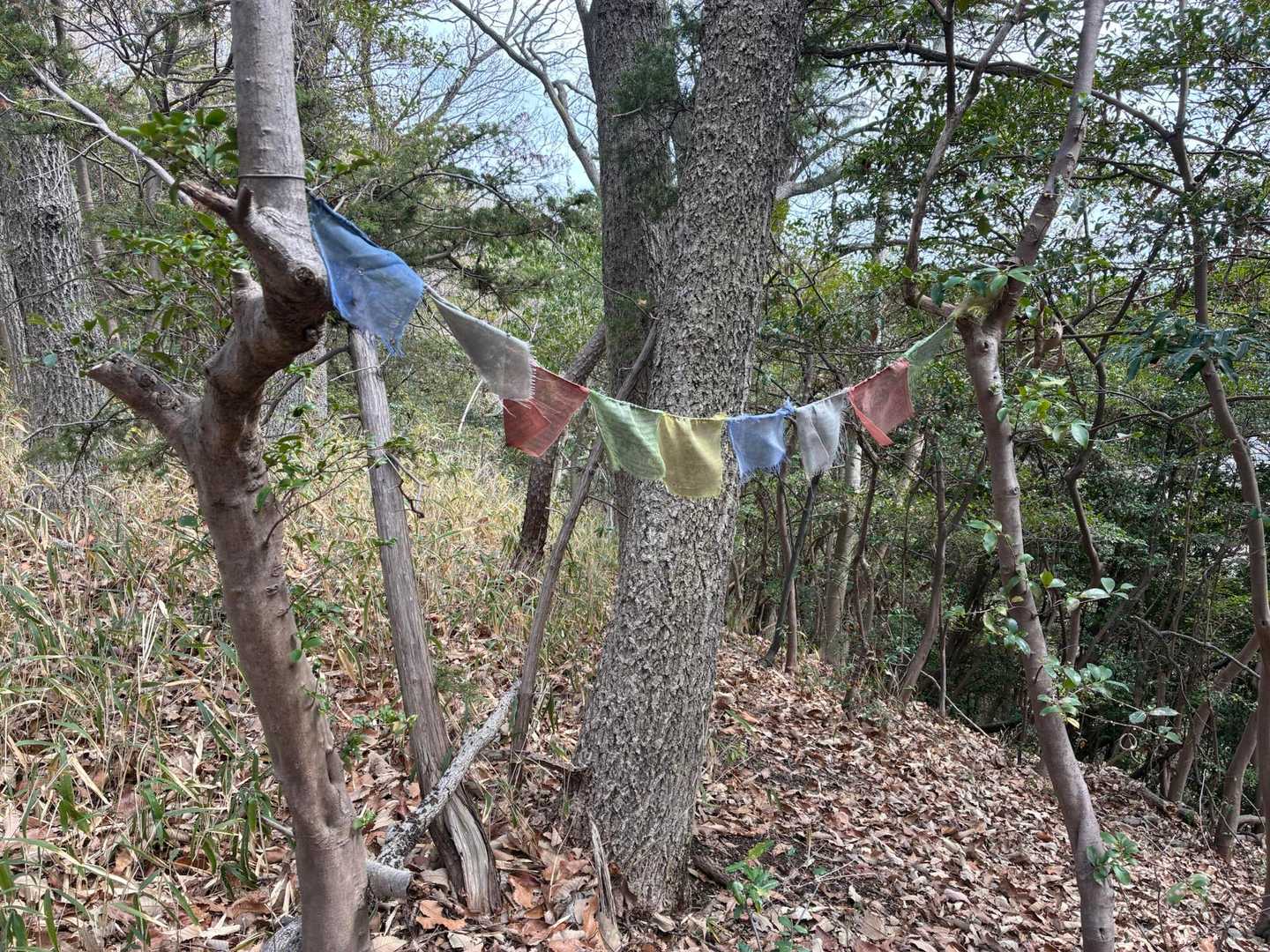 登山口から暫く歩くと？？？この旗は？？