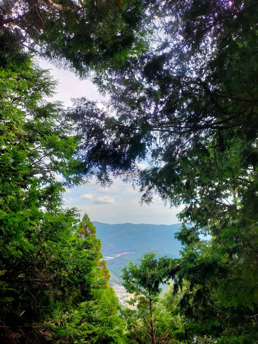 常寒山の写真