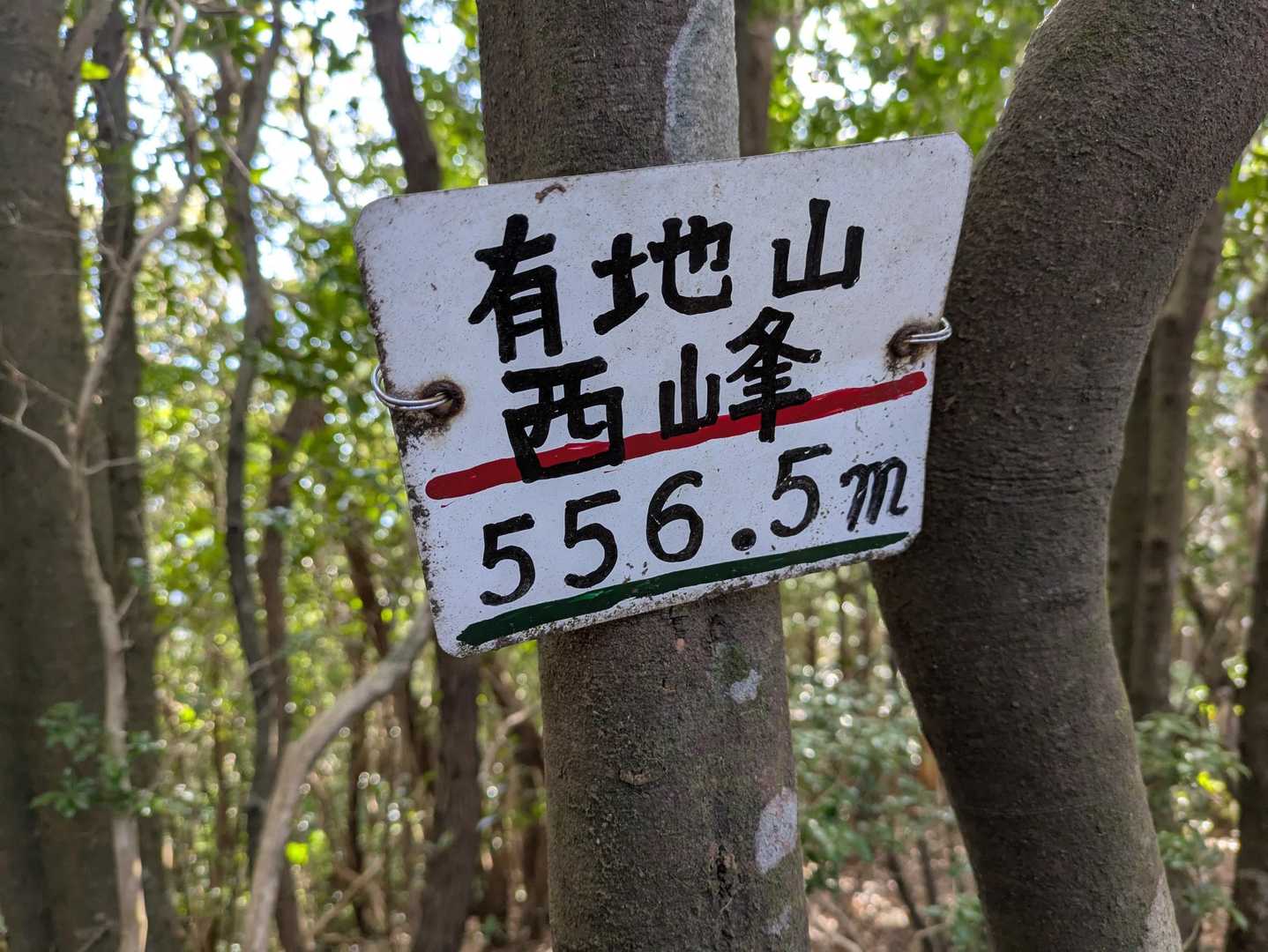 こちらが最後のピーク🚩
とってつけたようですが何か😁