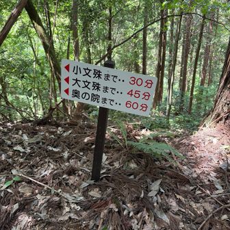 案内看板も🪧常にあります。