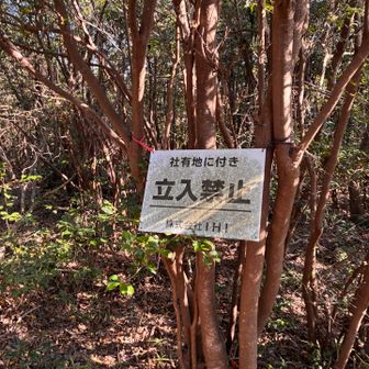 ヘタの部分はこんな感じ、自己責任ですね。