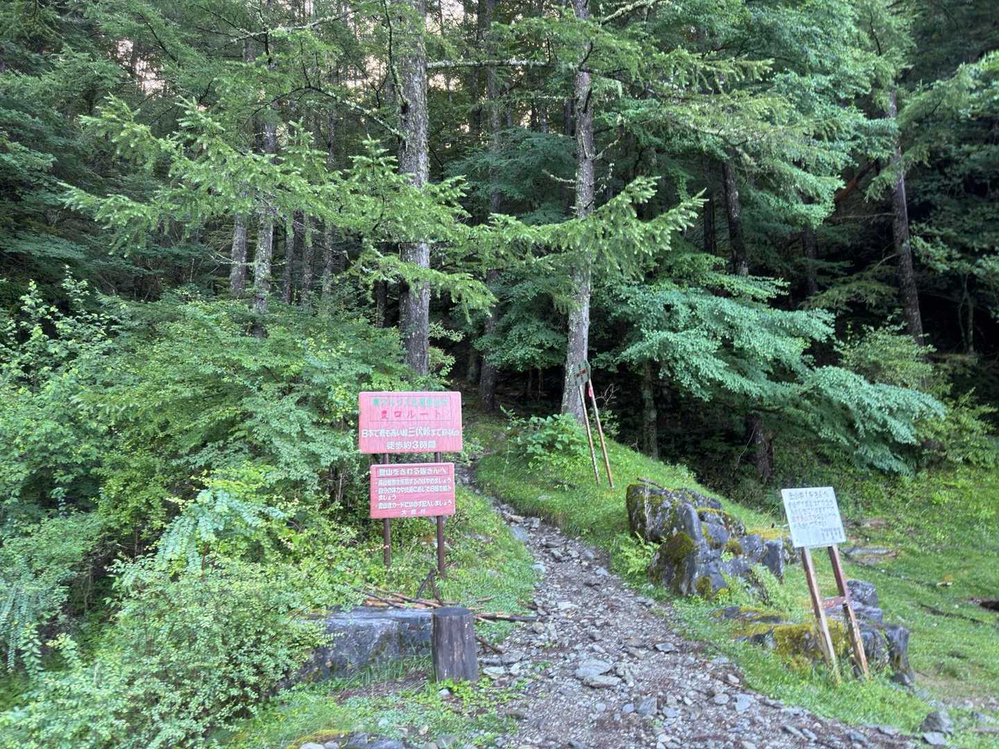 駐車場からまあまあ歩いてやっと登山口です！
※仮設トイレあり