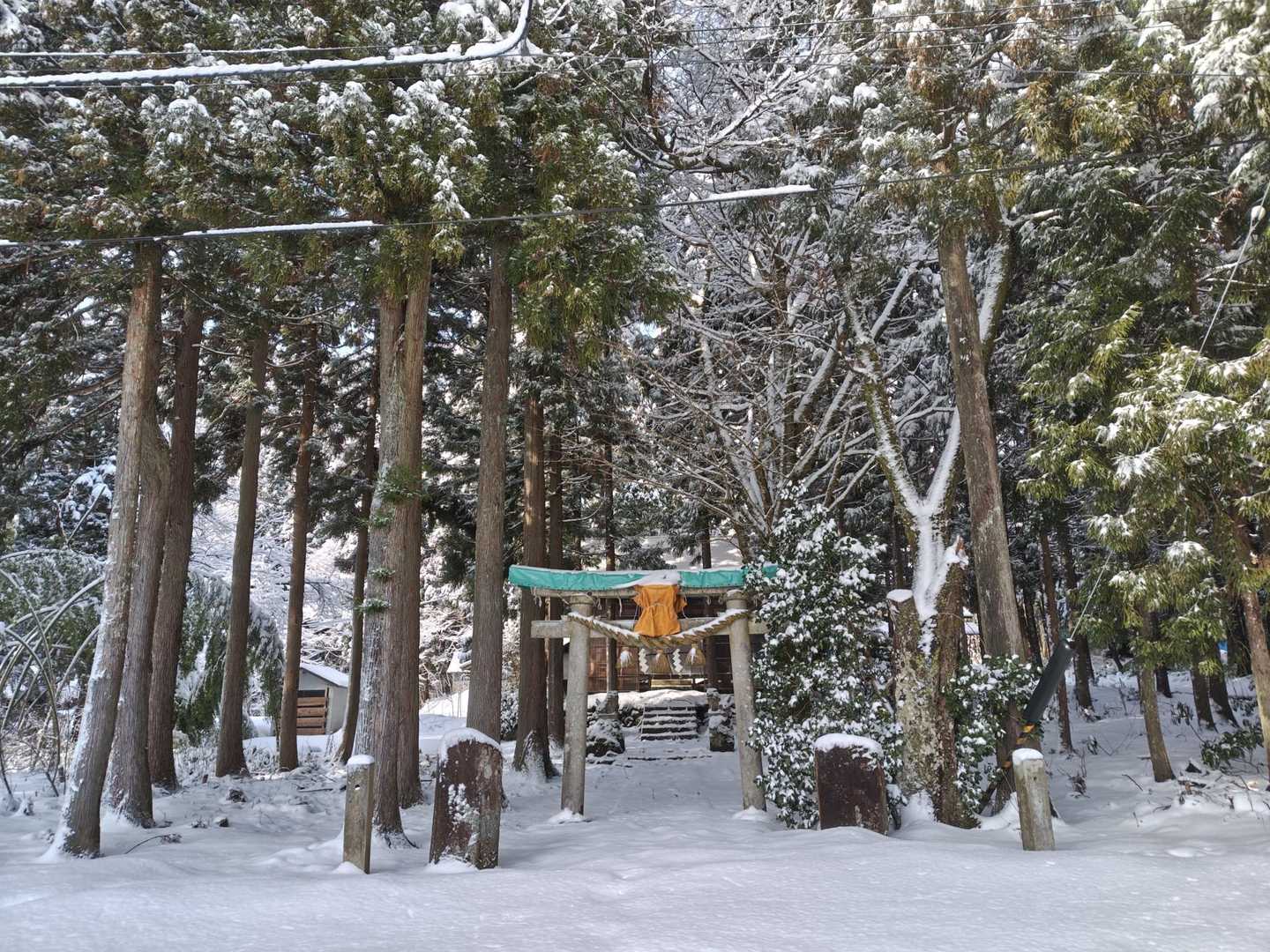 大乗悟山-笹津山 往復コースの写真