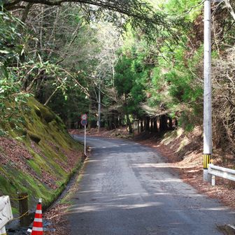少し道路を進んで