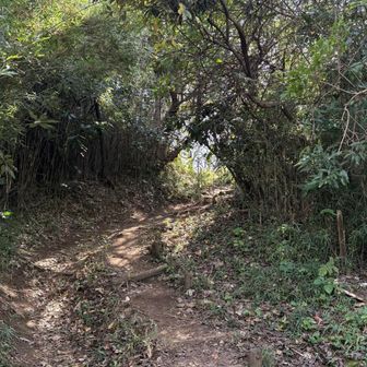 もうすぐ二子山山頂