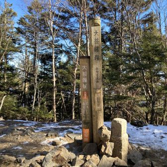 のべで言えば119/100