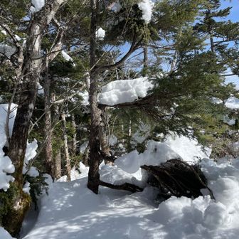 恵那山最高地点🏔️

何もない😅