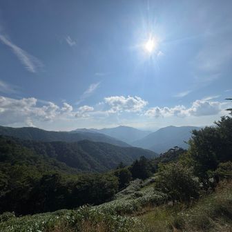 最後までええ景色よ☺️